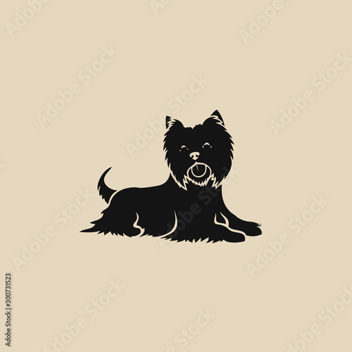 Yorkshire terrier - isolated vector illustration