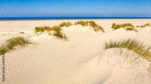 The beach of Schiermonnikoog, one of the West Frisian Islands, Northern Netherlands