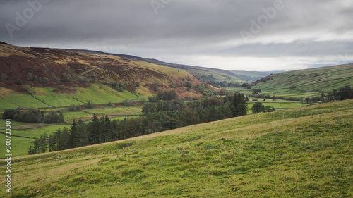 View along the Wharfedale valley with hilltops above green fields, dry stone walls and trees against a moody overcast sky, Yorkshire Dales, UK