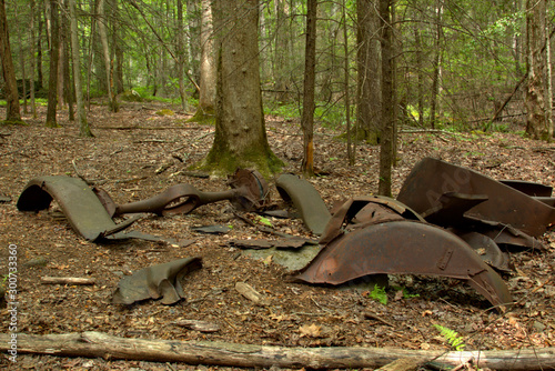 Old car parts found in a forest in the Smokey Mountains