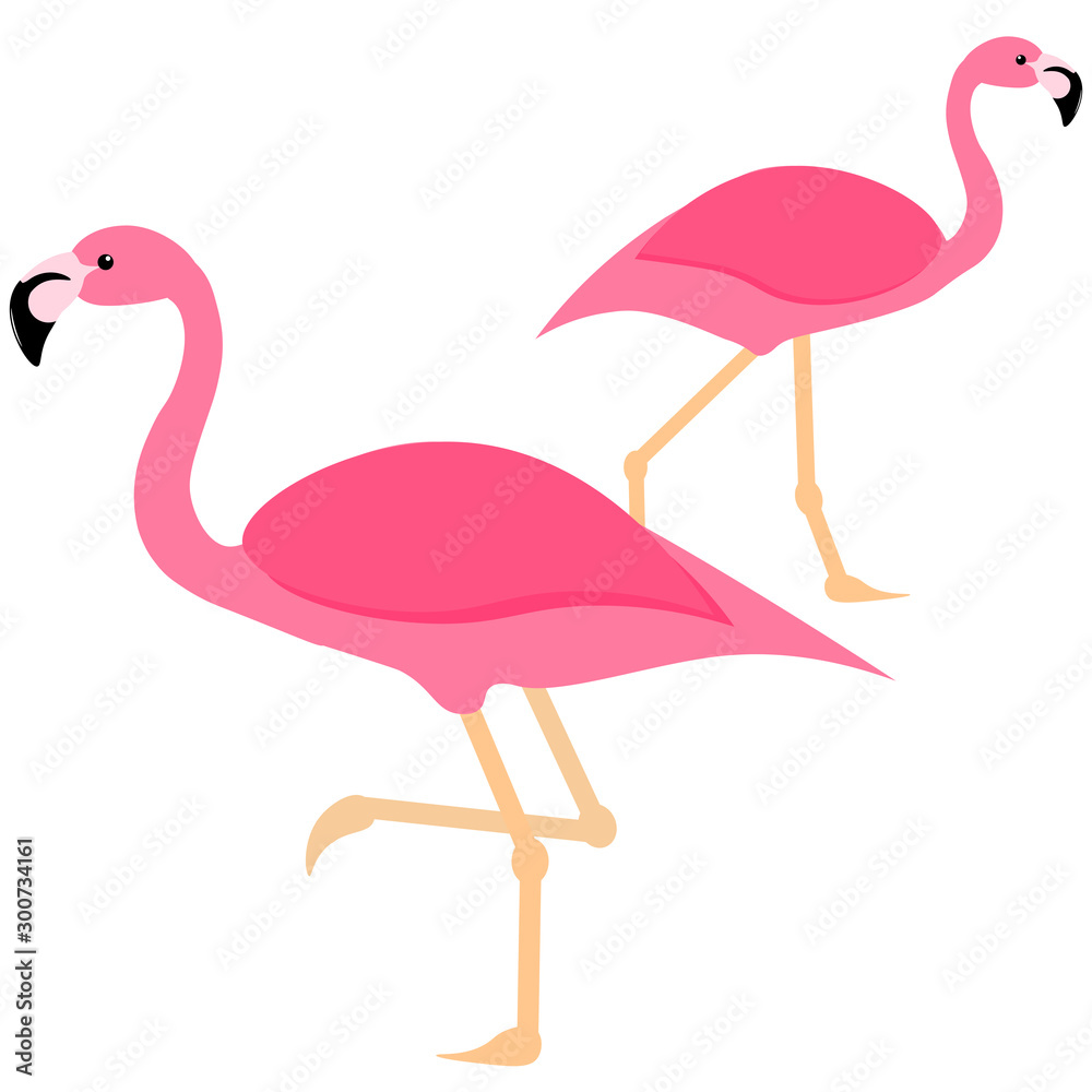 Fototapeta premium two pink flamingos in isolation