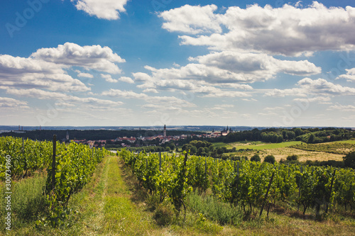 Kutná Hora in background city east of Prague in the Czech Republic. It’s known for the Gothic St. Barbara's Church with medieval frescoes and flying buttresses. view over vineyard from near by hill