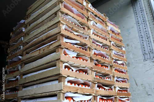 Crates of oranges in truck