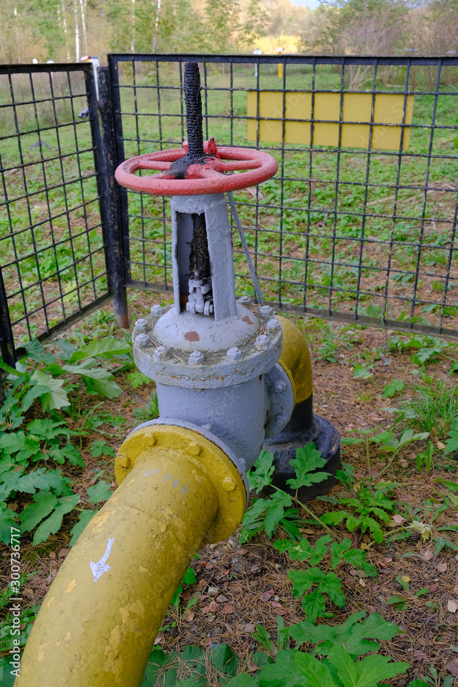 Fototapeta premium The pipeline with a valve leaves the ground in the forest belt.