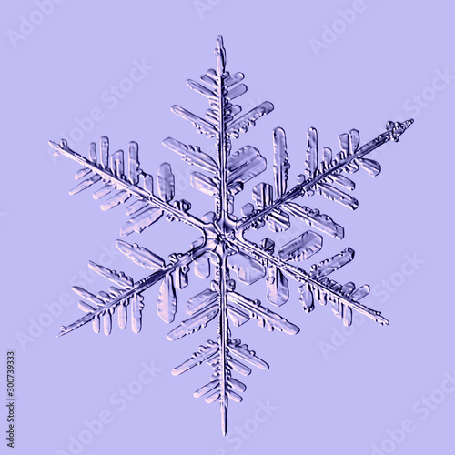 real snowflake