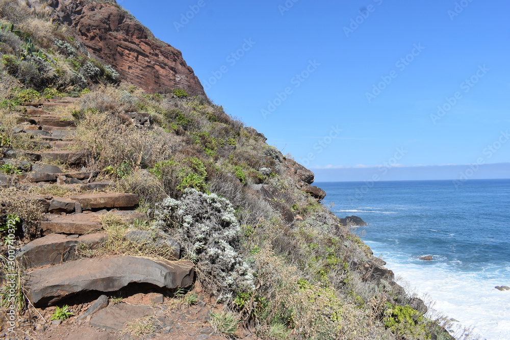 Hiking trail to Sao Lourenco with mountains in background in Madeira, Portugal