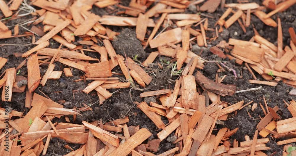 Colored wood chips