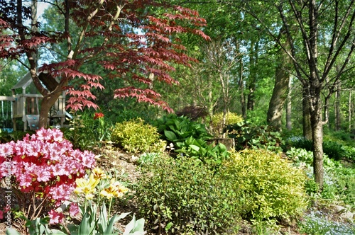 Fototapeta Naklejka Na Ścianę i Meble -  Spring Garden