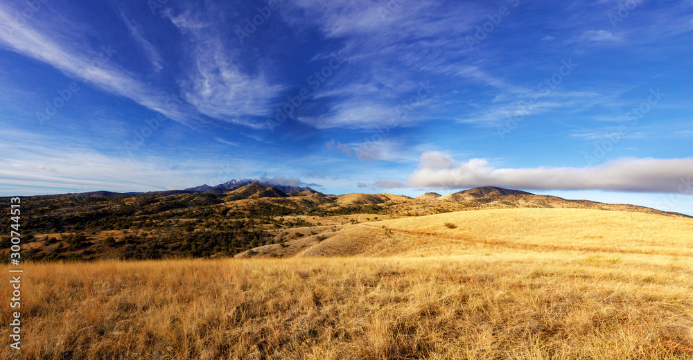 Grasslands in the Hills of Southern Arizona Grasslands in the Hills of Southern Arizona