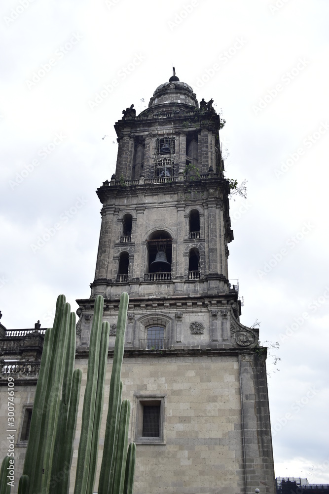 Catedral de México 