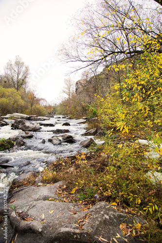 Beautiful landscape. Trees  river and stones. The rapid flow of the river. Beauty of nature. Vertical picture.