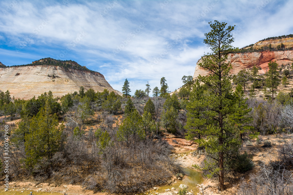 Landscape of rock hills and trees at Checkerboard Mesa in Zion National Park, USA