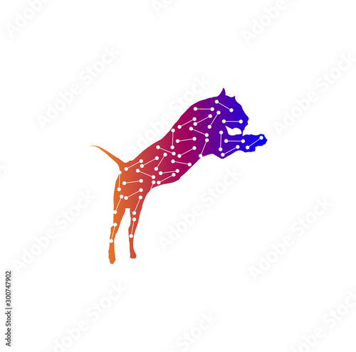 panther isolated on white background