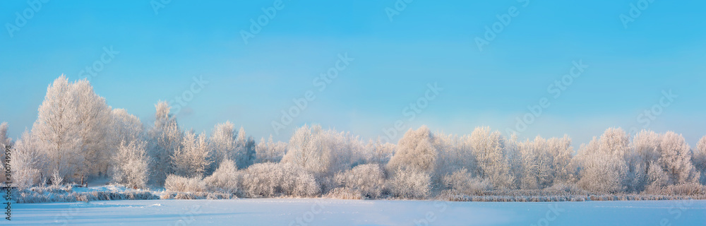 Fototapeta premium Winter landscape with frozen lake and trees covered with snow, panorama with snowy forest, river and clear blue sky