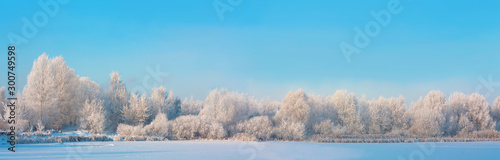 Winter landscape with frozen lake and trees covered with snow, panorama with snowy forest, river and clear blue sky