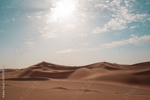 Fototapeta Naklejka Na Ścianę i Meble -  UAE. Desert  landscape
