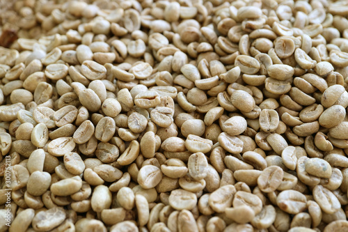 Pile of parchment coffee beans before roasting 