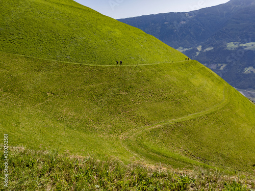 Curvy path on a green meadow