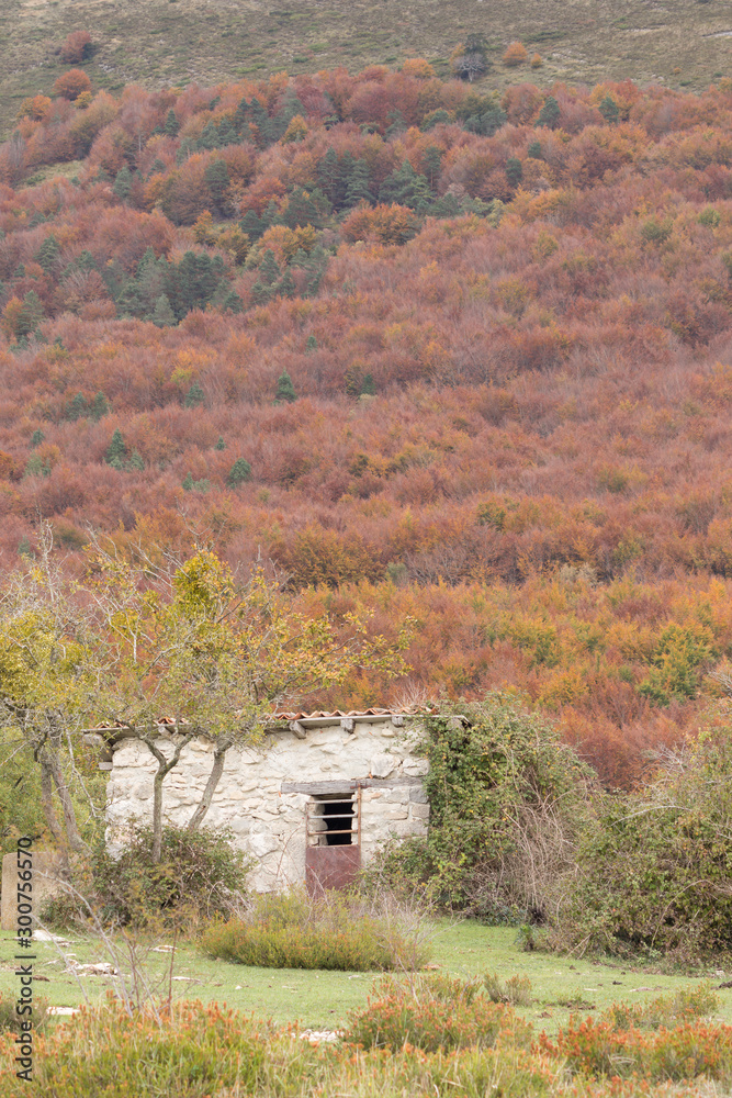 Vista de cabaña en temporada de otoño