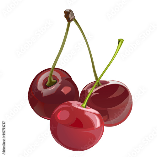 Cherry. Sweet and sour. Red. Garden fruit. Berry. Vector illustration. Isolated object.