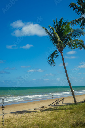 Beaches of Brazil - Boa Viagem Beach  Recife - Pernambuco
