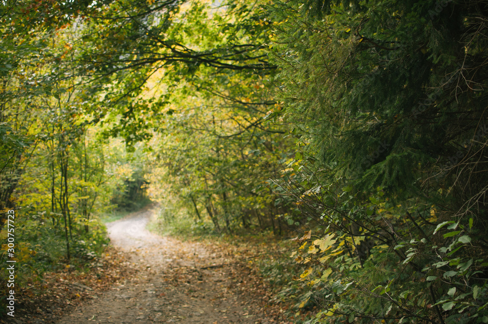 Obraz premium Hike along the railway to get to the small climbing area