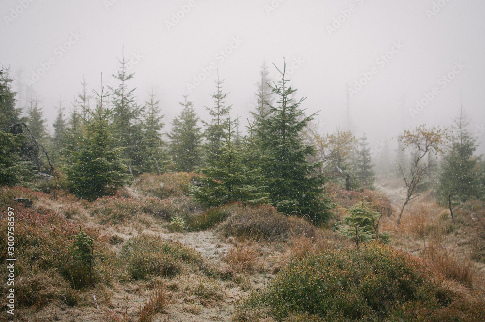 Autumn in Jeseniky mountains, first snow on the tops Autumn in Jeseniky mountains, first snow on the tops