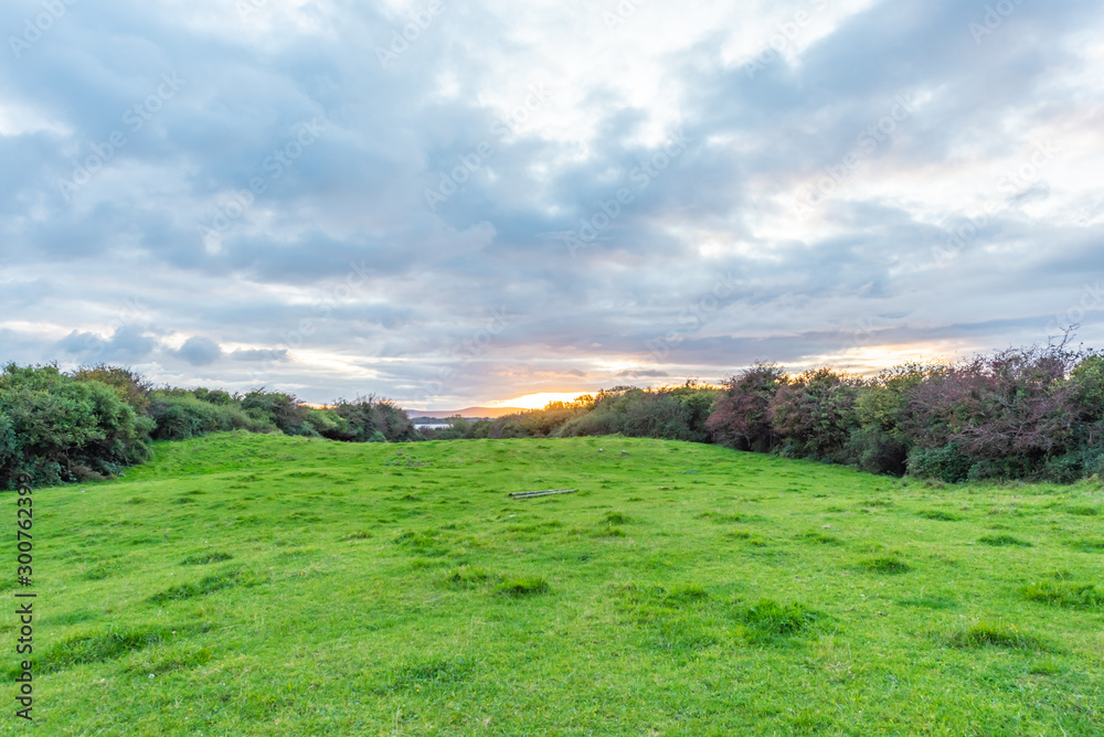 landscape with green field and blue sky landscape with green field and blue sky