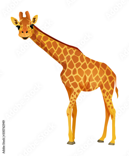 Cartoon giraffe isolated on a white background. Vector illustration.