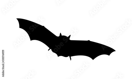 Fledermaus Silhouette