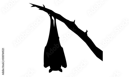 Fledermaus Silhouette