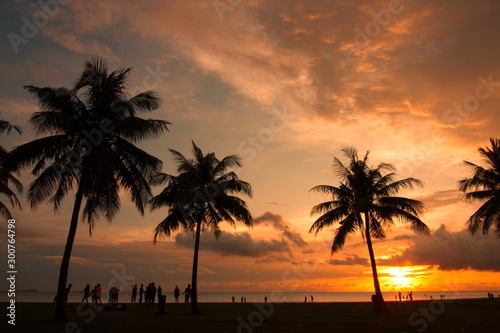 Beautiful sunset with silhouette tree at beach © Adanan