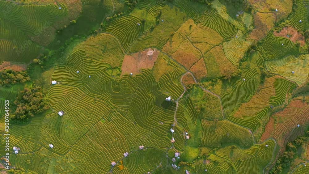 Aerial View Pa Bong Piang paddy terraced rice fields with farm huts, Mae Chaem, Chiang Mai Thailand
