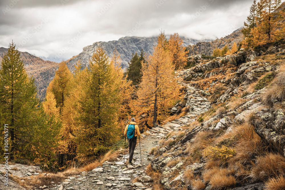 Hiker walking through alpine plateau in autumn, Sondrio, Italy