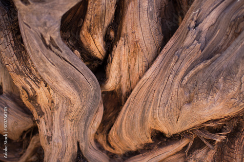Fototapeta Naklejka Na Ścianę i Meble -  Wood texture of brown color.