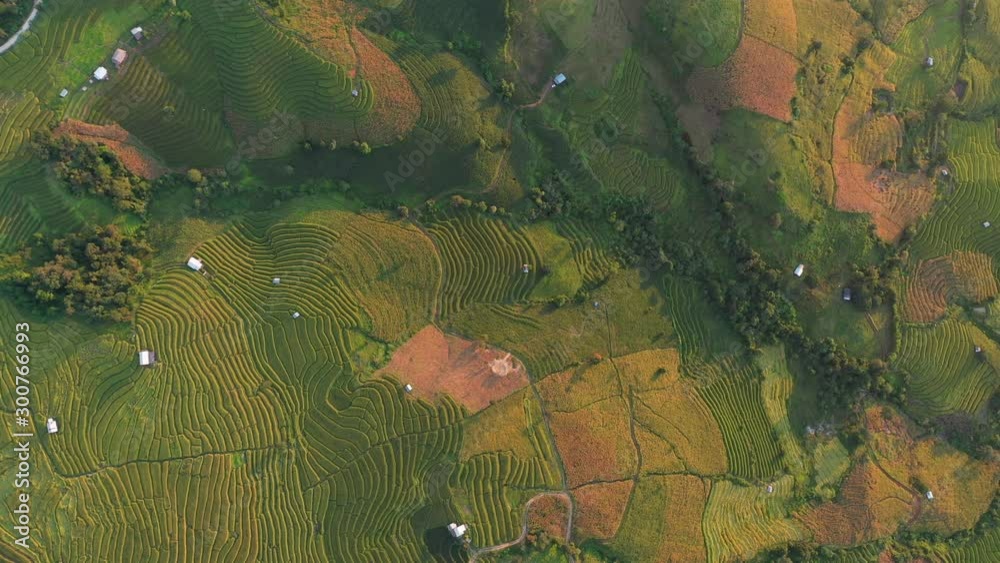 Aerial View Pa Bong Piang paddy terraced rice fields with farm huts, Mae Chaem, Chiang Mai Thailand