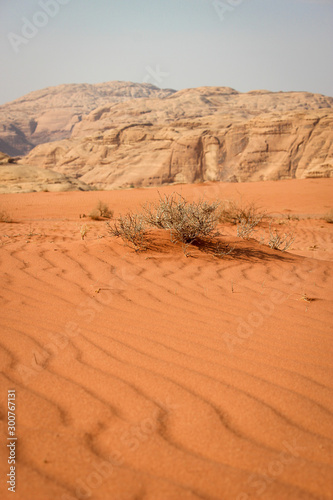 Walking and hiking tours in the Wadi Rum desert  Jordan