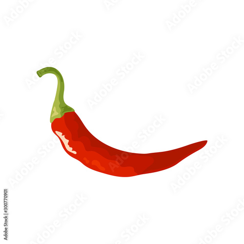 Chili pepper icon in flat style, vector