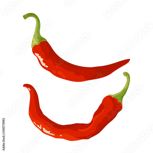 Chili pepper icon in flat style, vector