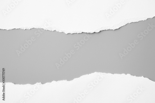 white torn paper on gray background. collection paper rip photo