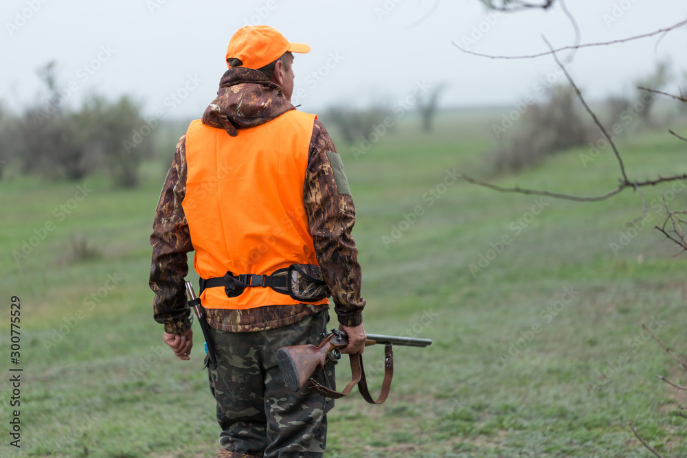 Hunting period, autumn season open. A hunter with a gun in his hands in hunting clothes in the autumn forest in search of a trophy. A man stands with weapons and hunting dogs tracking down the game. Hunting period, autumn season open. A hunter with a gun in his hands in hunting clothes in the autumn forest in search of a trophy. A man stands with weapons and hunting dogs tracking down the game.