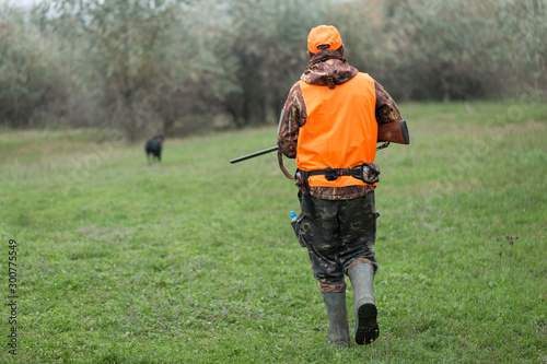 Hunting period, autumn season open. A hunter with a gun in his hands in hunting clothes in the autumn forest in search of a trophy. A man stands with weapons and hunting dogs tracking down the game. 