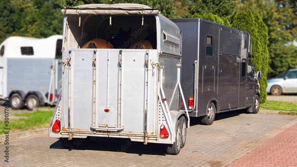 horse vehicle . Carriage for horses . Auto trailer for transportation of horses . transportation livestock . Horse transportation van . equestrian sport