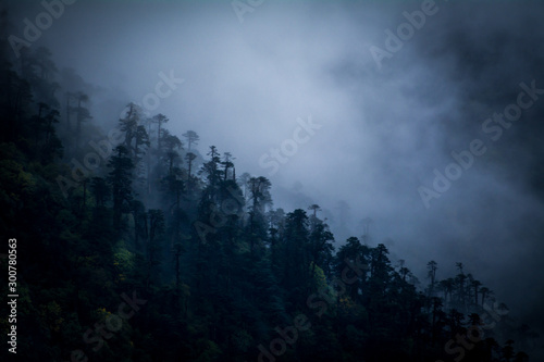 Himalayan Twilight, Sikkim, India