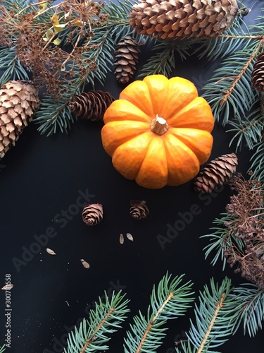 Christmas decoration on the black background