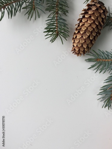 christmas background with fir branches and cones