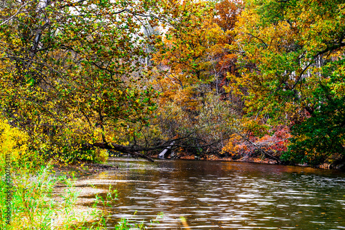 Wallpaper Mural autumn in the park Torontodigital.ca