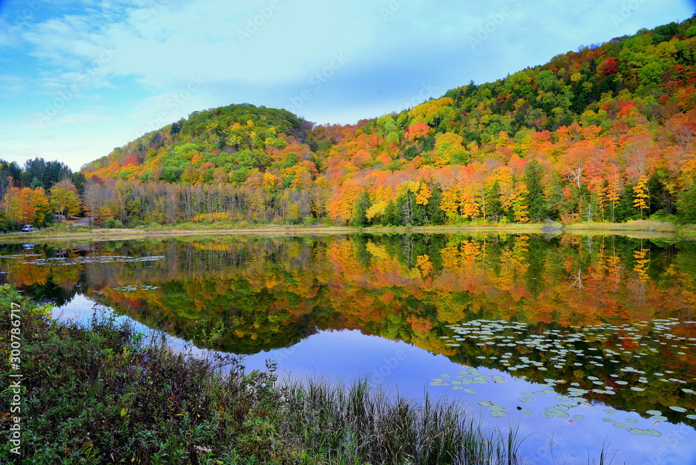 lake, utumn,fall,seasona, reflection, lake, colorful, leaves, forest, leaf, shape, season.