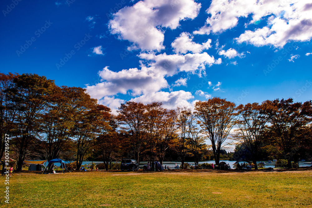 Obraz premium 志高湖の紅葉