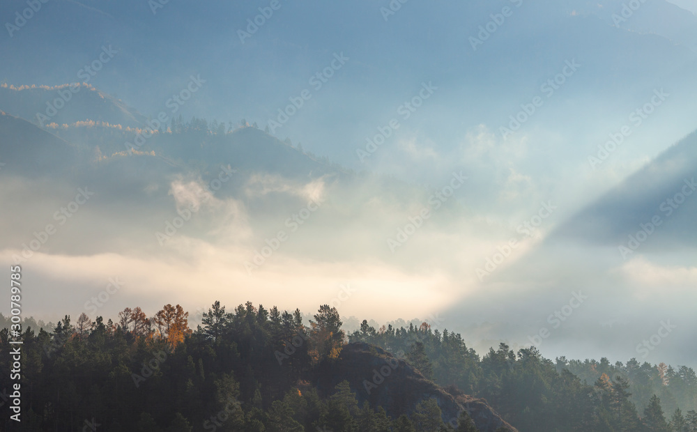 Naklejka premium Fog in the mountain valley, autumn morning